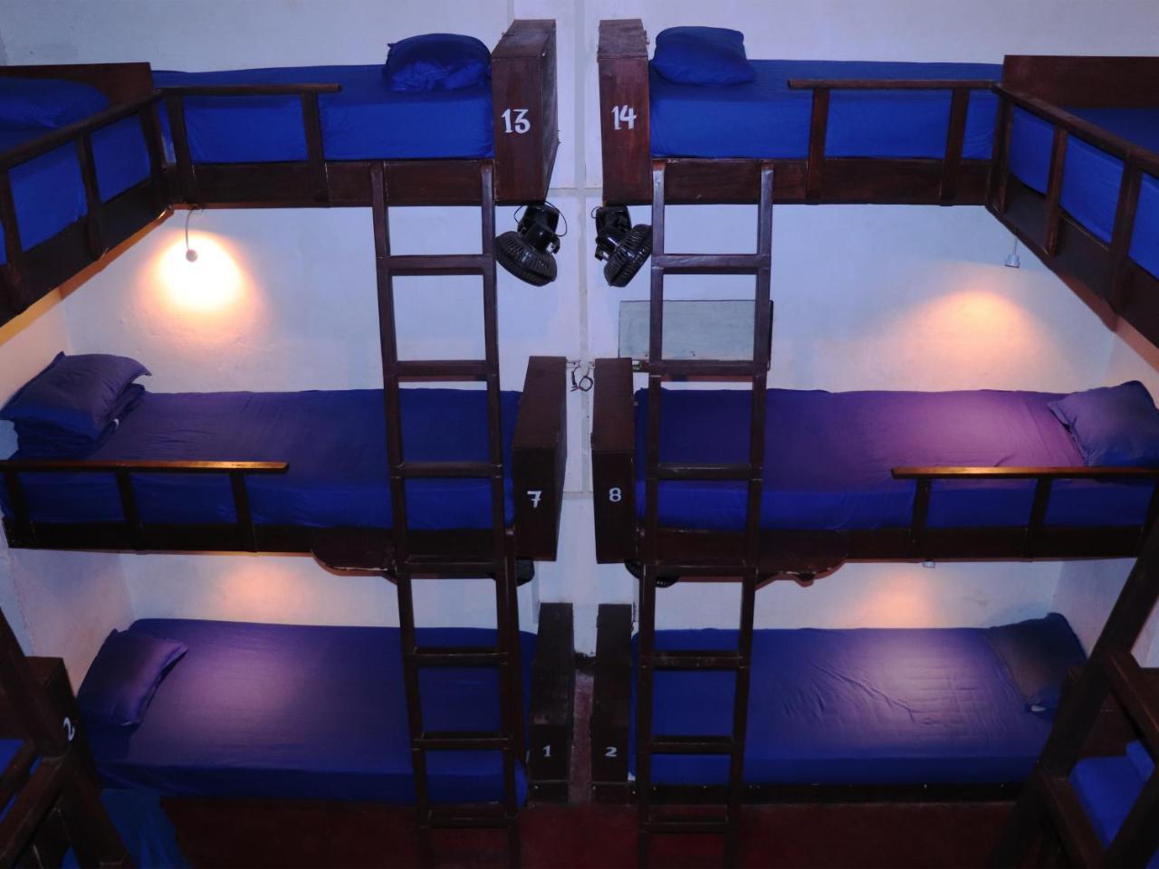 That Crazy Hostel Anjuna Exterior photo